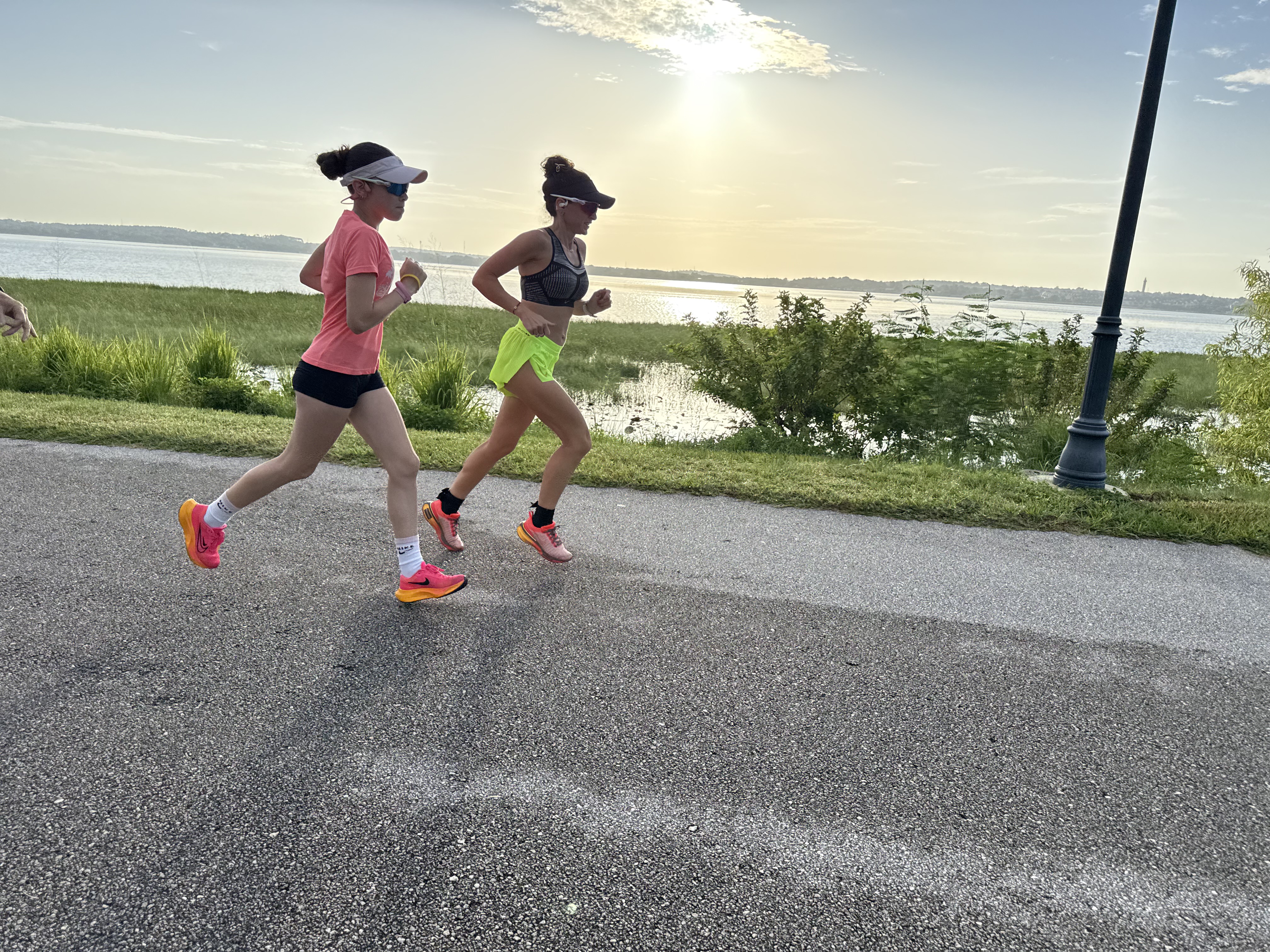 Pleasure and Progress